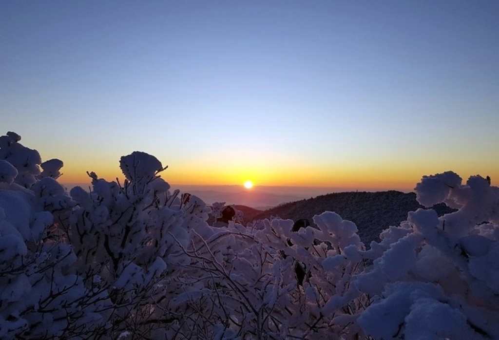 KakaoTalk_20200203_202902147_13